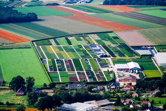Vue aérienne de Sur la Meuse (NL) à Hasselt dans le département Limbourg, Pays-Bas