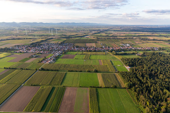 Vue d'oiseau de Freckenfeld dans le département Rhénanie-Palatinat, Allemagne