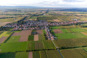 Freckenfeld dans le département Rhénanie-Palatinat, Allemagne vue du ciel