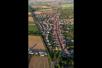 Quartier Schaidt in Wörth am Rhein dans le département Rhénanie-Palatinat, Allemagne depuis l'avion
