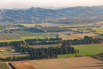 Vue aérienne de Champs protégés du vent à Tarascon dans le département Bouches du Rhône, France