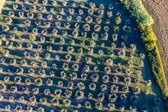 Saint-Rémy-de-Provence/Partie Nord Est