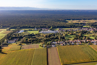 Vue oblique de Webasto Mécatronique à le quartier Schaidt in Wörth am Rhein dans le département Rhénanie-Palatinat, Allemagne