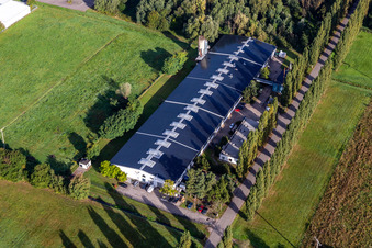 Vue aérienne de Édition - Cactus Printing & Publishing GmbH à le quartier Schaidt in Wörth am Rhein dans le département Rhénanie-Palatinat, Allemagne