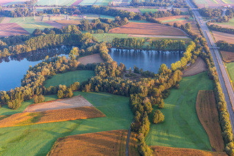Rheinzabern dans le département Rhénanie-Palatinat, Allemagne d'en haut