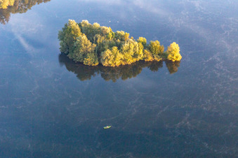 Vue aérienne de Pêcheur du matin à Neupotz dans le département Rhénanie-Palatinat, Allemagne