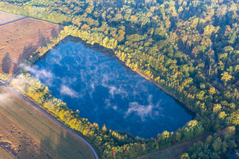 Vue aérienne de Brouillard matinal dans les prairies du Rhin à Hördt dans le département Rhénanie-Palatinat, Allemagne