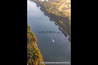 Vue aérienne de Bateau de sport sur le Rhin à Hördt dans le département Rhénanie-Palatinat, Allemagne