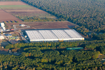 Vue aérienne de Continental Tires GmbH à Bellheim dans le département Rhénanie-Palatinat, Allemagne