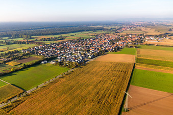 Minfeld dans le département Rhénanie-Palatinat, Allemagne du point de vue du drone