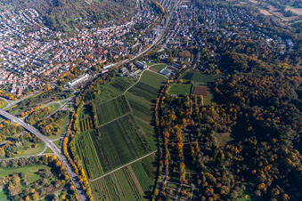 Vue aérienne de Centre de technologie agricole d'Augustenberg à le quartier Durlach in Karlsruhe dans le département Bade-Wurtemberg, Allemagne