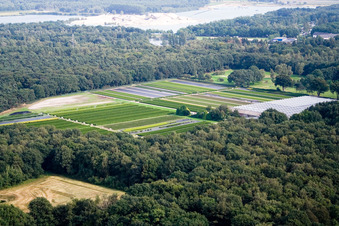 Image drone de De Hamert dans le département Limbourg, Pays-Bas