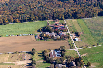 Vue aérienne de Ferme d'aventure Karlsbad, magasin de la ferme Beckers Steinighoflädle à le quartier Langensteinbach in Karlsbad dans le département Bade-Wurtemberg, Allemagne