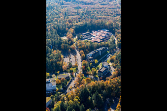 Vue aérienne de École Ludwig Guttmann Karlsbad SBBZ à le quartier Langensteinbach in Karlsbad dans le département Bade-Wurtemberg, Allemagne