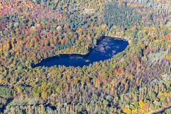Vue aérienne de Étang aux canards au centre de conservation de la nature Karlsruhe-Rappenwört à le quartier Daxlanden in Karlsruhe dans le département Bade-Wurtemberg, Allemagne
