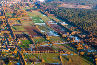 Vue aérienne de Étang aux cygnes à Steinfeld à Steinfeld dans le département Rhénanie-Palatinat, Allemagne