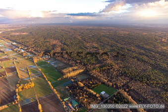 Vue aérienne de Viehstrich à Bienwald à Kapsweyer dans le département Rhénanie-Palatinat, Allemagne