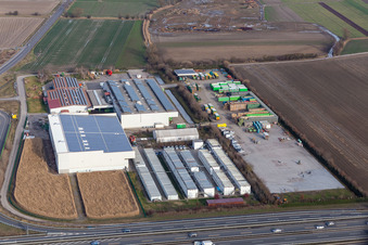 Vue aérienne de Renner de légumes V+V à Mutterstadt dans le département Rhénanie-Palatinat, Allemagne