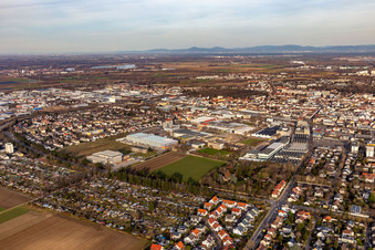 Vue aérienne de Nord à Frankenthal dans le département Rhénanie-Palatinat, Allemagne