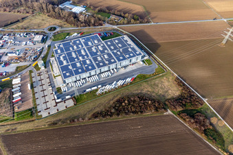 Vue oblique de Centre logistique Lekkerland Mannheim à le quartier Roxheim in Bobenheim-Roxheim dans le département Rhénanie-Palatinat, Allemagne