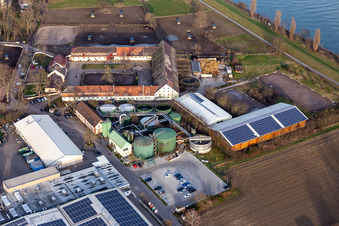 Vue aérienne de Domaine de Petersau à le quartier Mörsch in Frankenthal dans le département Rhénanie-Palatinat, Allemagne