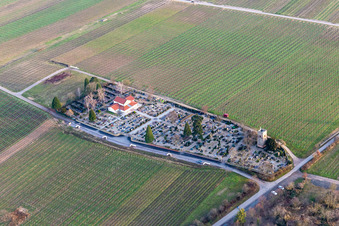 Vue aérienne de Cimetière Freinsheim à Freinsheim dans le département Rhénanie-Palatinat, Allemagne