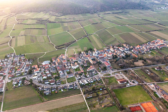Vue aérienne de Vue du village viticole depuis l'est à Forst an der Weinstraße dans le département Rhénanie-Palatinat, Allemagne