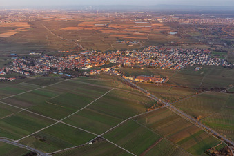 Quartier Mußbach in Neustadt an der Weinstraße dans le département Rhénanie-Palatinat, Allemagne depuis l'avion
