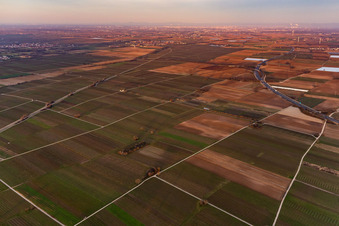 Vue aérienne de Mecke-INFO à le quartier Mußbach in Neustadt an der Weinstraße dans le département Rhénanie-Palatinat, Allemagne