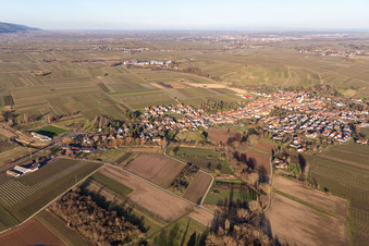 Göcklingen dans le département Rhénanie-Palatinat, Allemagne hors des airs