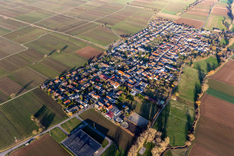 Quartier Duttweiler in Neustadt an der Weinstraße dans le département Rhénanie-Palatinat, Allemagne hors des airs