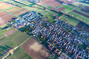 Vue oblique de Altdorf dans le département Rhénanie-Palatinat, Allemagne