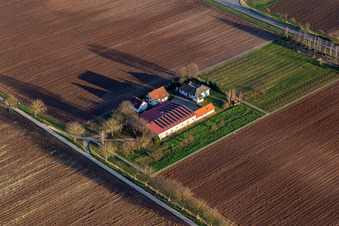 Vue aérienne de Maison de vacances Birkenhof à le quartier Niederlustadt in Lustadt dans le département Rhénanie-Palatinat, Allemagne