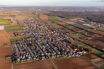 Enregistrement par drone de Quartier Niederlustadt in Lustadt dans le département Rhénanie-Palatinat, Allemagne