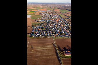 Image drone de Quartier Niederlustadt in Lustadt dans le département Rhénanie-Palatinat, Allemagne