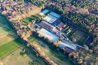 Vue aérienne de Club d'équitation et d'attelage Zeiskam eV, Regina Hemmer Restaurant Zum Reiterstübchen à Zeiskam dans le département Rhénanie-Palatinat, Allemagne