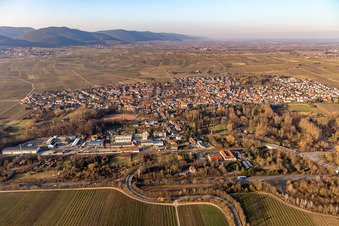 Quartier Godramstein in Landau in der Pfalz dans le département Rhénanie-Palatinat, Allemagne depuis l'avion