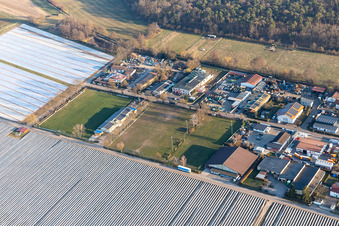 Vue aérienne de Club de football Lustadt eV à le quartier Niederlustadt in Lustadt dans le département Rhénanie-Palatinat, Allemagne