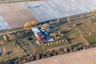 Vue aérienne de TERRA MATER eV Centre de sauvetage des animaux pour l'environnement et l'aide aux animaux Lustadt à le quartier Niederlustadt in Lustadt dans le département Rhénanie-Palatinat, Allemagne