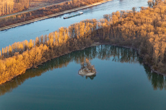 Vue aérienne de Vieux Rhin à Leimersheim dans le département Rhénanie-Palatinat, Allemagne