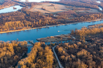 Vue aérienne de Vieux Rhin Leimersheim à Leimersheim dans le département Rhénanie-Palatinat, Allemagne