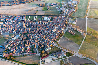 Neupotz dans le département Rhénanie-Palatinat, Allemagne hors des airs