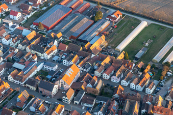 Vue aérienne de Centre de culture et de loisirs à Neupotz dans le département Rhénanie-Palatinat, Allemagne