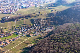 Vue aérienne de Rue du Château Pleisweiler à le quartier Pleisweiler in Pleisweiler-Oberhofen dans le département Rhénanie-Palatinat, Allemagne