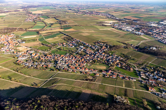 Vue aérienne de Ville viticole de l'ouest à le quartier Pleisweiler in Pleisweiler-Oberhofen dans le département Rhénanie-Palatinat, Allemagne