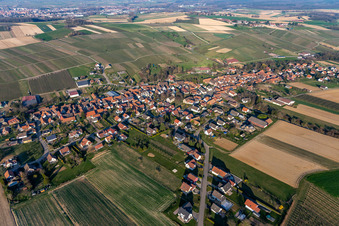 Steinseltz dans le département Bas Rhin, France vue d'en haut