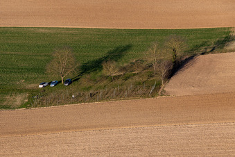 Vue aérienne de Le plus petit vignoble d'Alsace à Niederlauterbach dans le département Bas Rhin, France