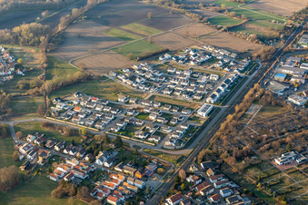 Photographie aérienne de Bague Paul Klee à Wörth am Rhein dans le département Rhénanie-Palatinat, Allemagne