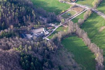 Vue aérienne de Domaine de Waldeck à Eußerthal dans le département Rhénanie-Palatinat, Allemagne