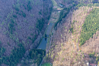 Photographie aérienne de Stefan Erber, propriétaire de truites de la forêt du Palatinat à Eußerthal dans le département Rhénanie-Palatinat, Allemagne